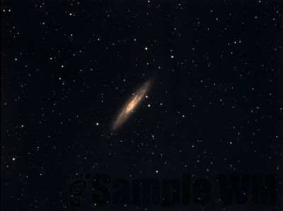 NGC253done2Meg
